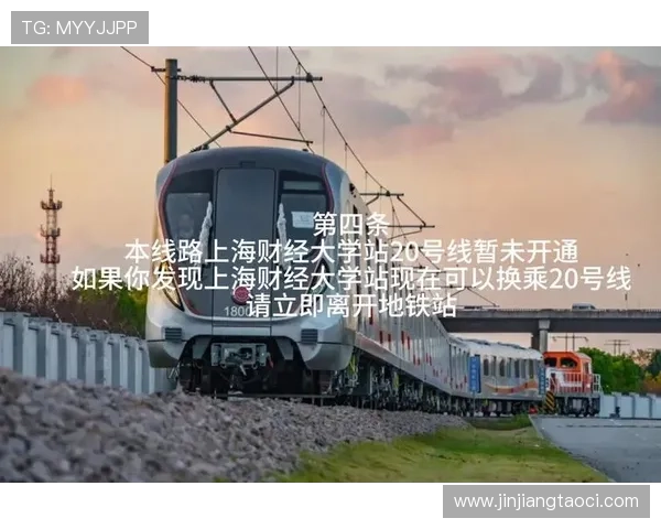 壹号娱乐公司在行业中的发展历程与未来创新方向探讨